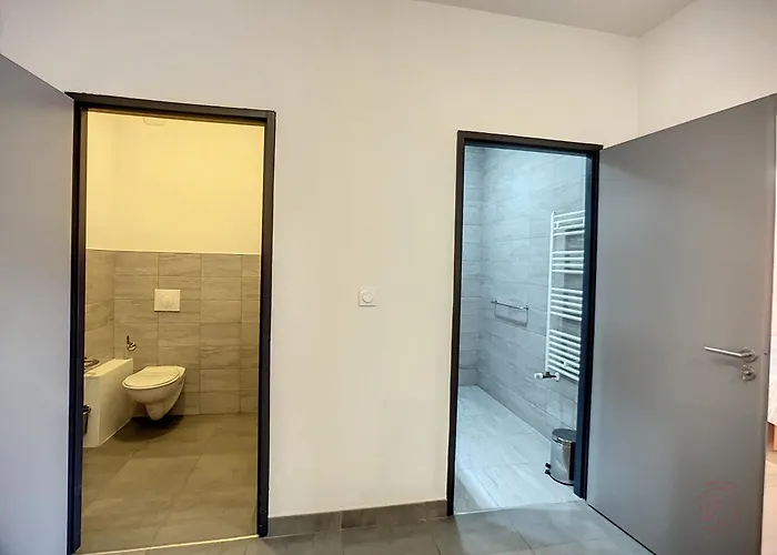 Bel F2 Climatise, Terrasse, Parking, A 50m Des Thermes De Lamalou-les-bains, Animaux Acceptes - Fr-1-451-193 Lamalou-les-Bains